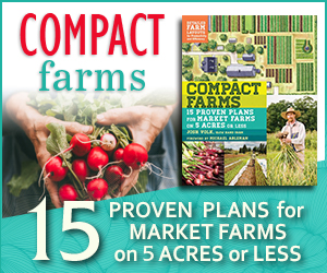 Special advertising offer